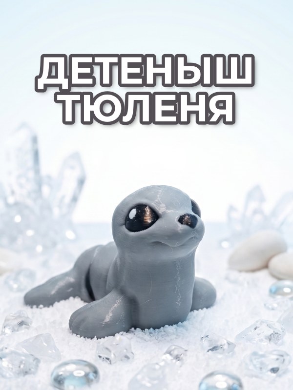 Детеныш тюленя