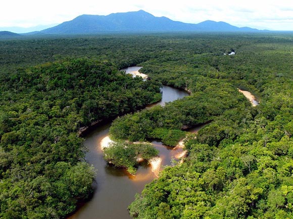 Бразилия — это крупнейший дом тропических лесов