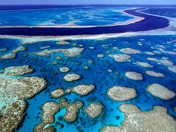 Большой Барьерный риф — крупнейшая в мире система коралловых рифов, расположенная в Коралловом море, у побережья штата Квинсленд