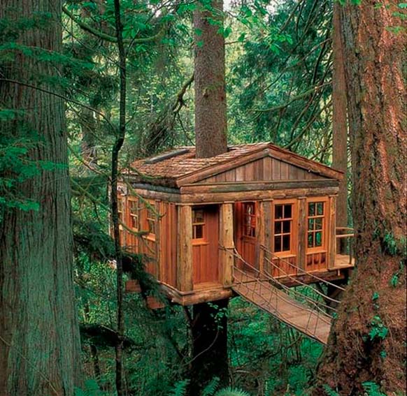 Этот симпатичный домик на дереве в глухой лесной чаще мог бы входить и в рейтинг 'Сказочные дома'
