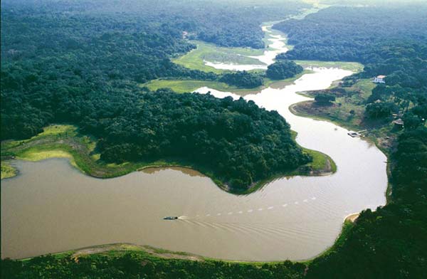 Опасность Амазонки, считающейся одним из семи природных чудес света, заключается не только в ее мощи