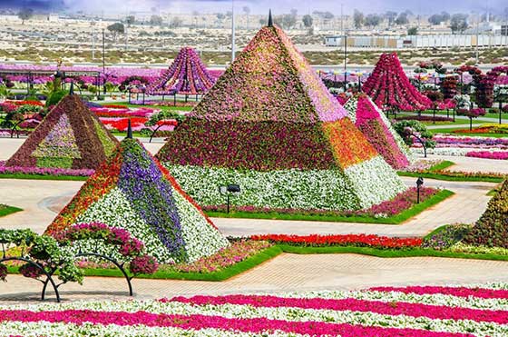 Один из шедевров арабских эмиратов это парк цветов Dubai Miracle Garden
